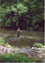 fishing
