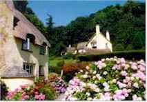 cottages