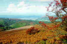 exmoor devon