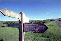 signpost