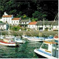 devon Culture