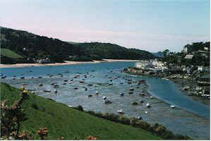 wpe120.jpg (8768 bytes)